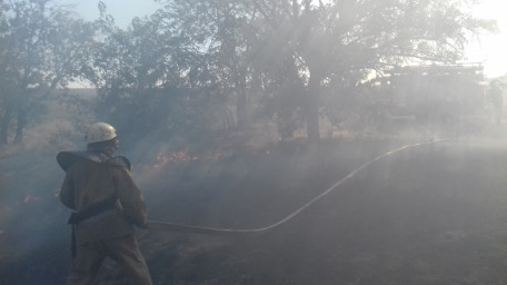 Херсонщина: ліквідовано пожежу на території лісництва